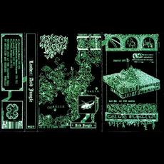 Acid Jungle mp3 Album by Lander