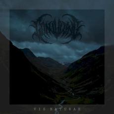 Vis Naturae mp3 Album by Conjuring