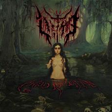 Putrid Reflection mp3 Album by Liitra