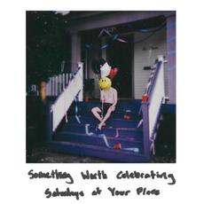 something worth celebrating mp3 Album by saturdays at your place