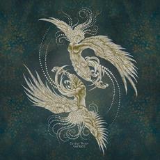 Sacred mp3 Album by Colour Haze