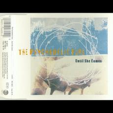 Until She Comes mp3 Single by The Psychedelic Furs