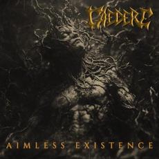Aimless Existence mp3 Single by Caedere
