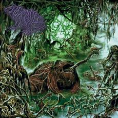 Consumed by Frogs mp3 Album by Frog Mallet
