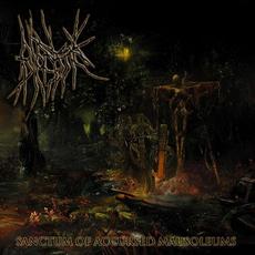 Sanctum Of Accursed Mausoleums mp3 Album by Biocystic