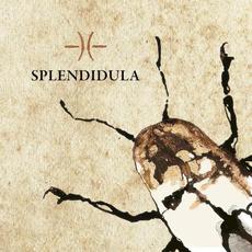 Splendidula mp3 Album by Splendidula