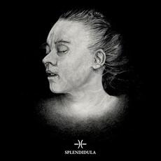 Post Mortem mp3 Album by Splendidula