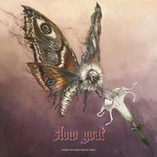 Where The Wisest Fear To Tread mp3 Album by Slow Goat