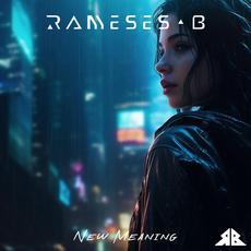 New Meaning mp3 Single by Rameses B