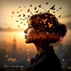 YOU FOUND ME mp3 Album by Crispin Earl