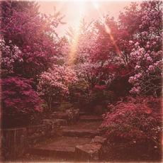 THE SLEEP TOKEN EDITION mp3 Album by Crispin Earl