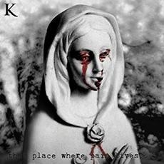 That Place Where Pain Lives… mp3 Single by King 810