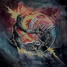 Seeds of True Rebirth mp3 Album by Ill Tidings