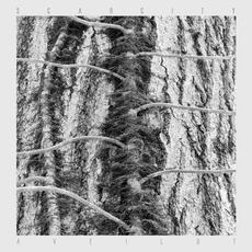 Aveilut mp3 Album by Scarcity
