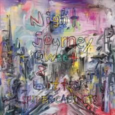 Night journey, sweet & bitter mp3 Album by Spider Cabinets