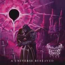 A Universe Bereaved mp3 Album by Destruction of the Healer