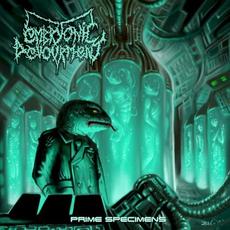 Prime Specimens mp3 Album by Embryonic Devourment