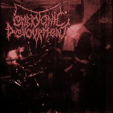 Live At The Shanachie Pub 9/12/2015 mp3 Live by Embryonic Devourment