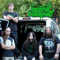 Live At The Low Gap Amphitheater mp3 Live by Embryonic Devourment