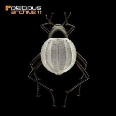 Platipus: Archive 11 mp3 Compilation by Various Artists