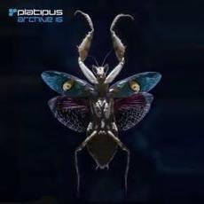Platipus: Archive 16 mp3 Compilation by Various Artists