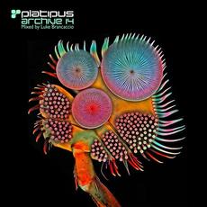 Platipus: Archive 14 mp3 Compilation by Various Artists
