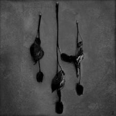 Crystal Eyes mp3 Album by Reflections