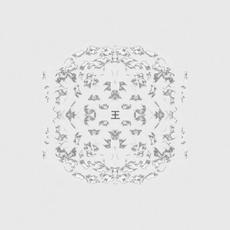 Shadow Instrumental mp3 Album by Reflections