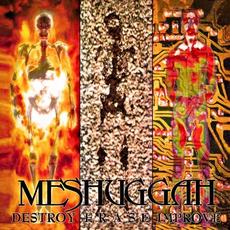Destroy Erase Improve: 30th Anniversary Edition mp3 Album by Meshuggah