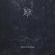 Spirits of the Swamp mp3 Album by Bockreiter