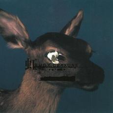 Niji (虹) mp3 Single by BUGY CRAXONE