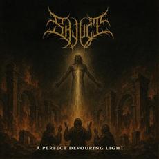 A Perfect Devouring Light mp3 Album by Skjult
