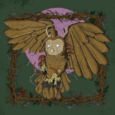All the Cages Holding Us Will One Day Turn to Dust mp3 Album by Snag