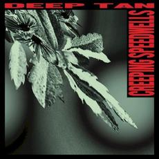 Creeping speedwells mp3 Album by Deep Tan