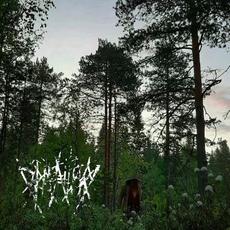 Alkukantaisen Viisauden Äärelle (Demo) mp3 Album by Rämealttari