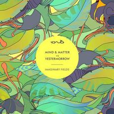 Imaginary Fields mp3 Single by Yestermorrow