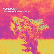 I Got Cracked (Yot Club Version) mp3 Single by Yot Club