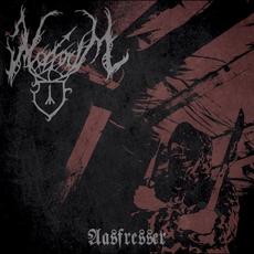 Aasfresser mp3 Album by Mavorim