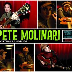 A Virtual Landslide mp3 Album by Pete Molinari