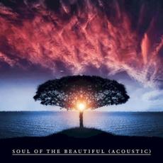 Soul of the Beautiful (Acoustic) mp3 Single by Crispin Earl