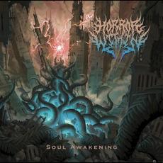 Soul Awakening mp3 Album by Horror Within