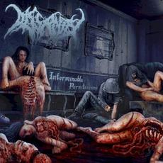 Interminable Pernitiousing mp3 Album by Dissanity