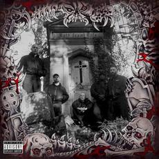 Exit From Life mp3 Album by Take It in Blood
