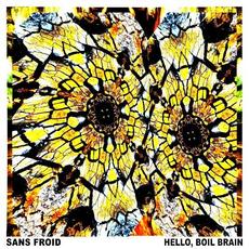 Hello, Boil Brain mp3 Album by Sans Froid