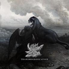 Transmogrification mp3 Album by Vertebrae Fetish Totem