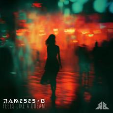 Feels Like a Dream mp3 Single by Rameses B