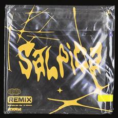 Salpica (Lamebot Remix) mp3 Single by Otto von Schirach