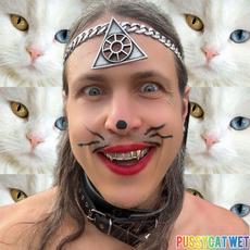 PussyCat Wet mp3 Single by Otto von Schirach