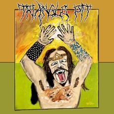 Triangle Pit mp3 Single by Otto von Schirach