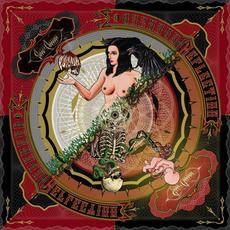 Reversed Reflection mp3 Album by Song of Anhubis